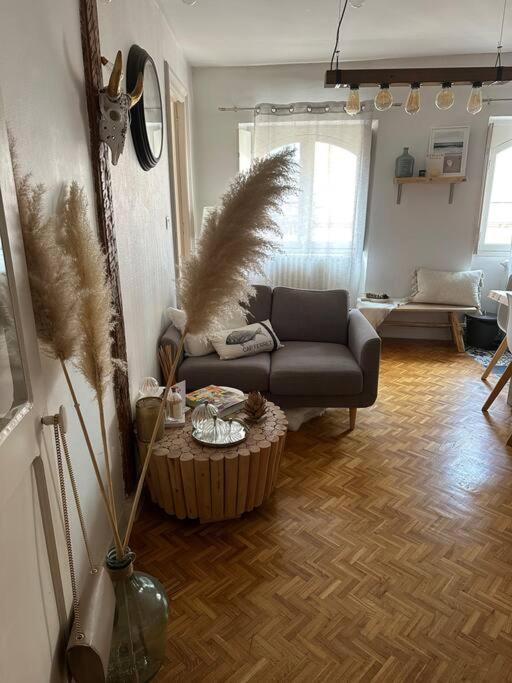 Appartement Carmes, Hypercentre Toulouse Dış mekan fotoğraf